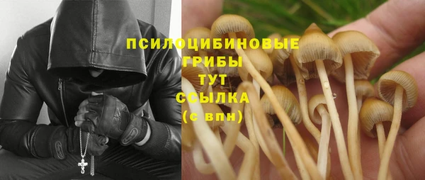 метадон Нязепетровск