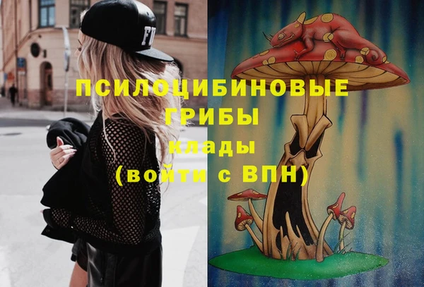 MDMA Няндома