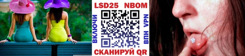где продают наркотики  площадка клад  Марки N-bome 1500мкг  Пудож  omg как войти 